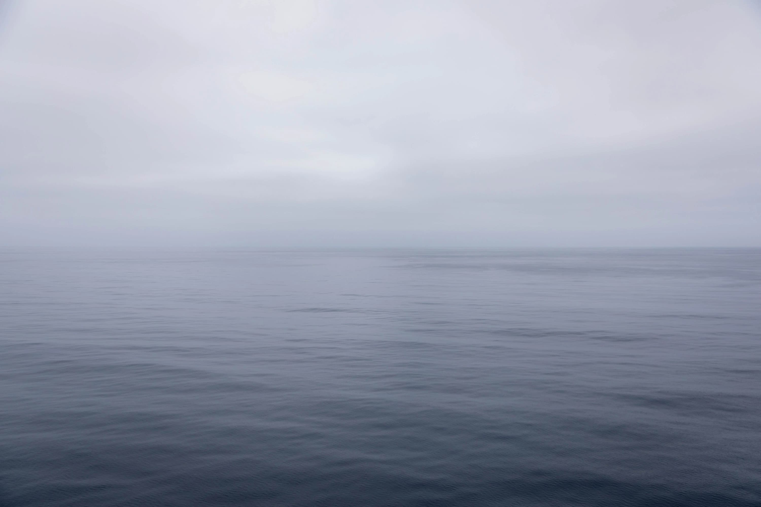 Scientists to Sea