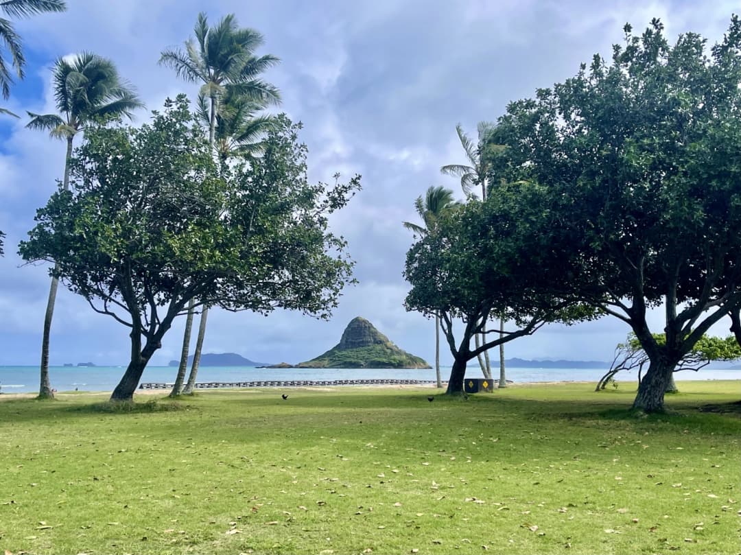 Scenic view of Kualoa Regional Park, framed by swaying palm trees and lush greenery, with Mokoliʻi Island (Chinaman's Hat) rising in the distance, set against the calm blue waters of Kaneohe Bay.